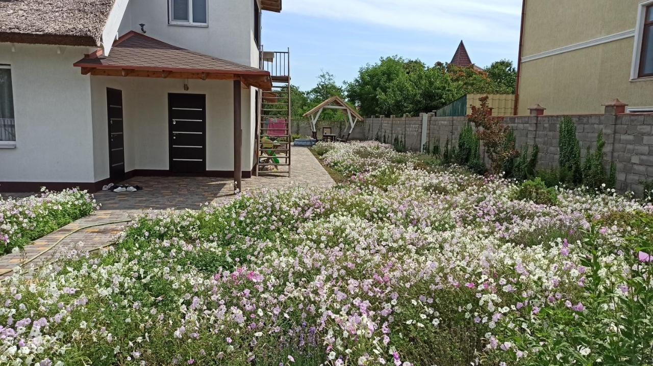 فندق Eco House تشورنومورسك المظهر الخارجي الصورة